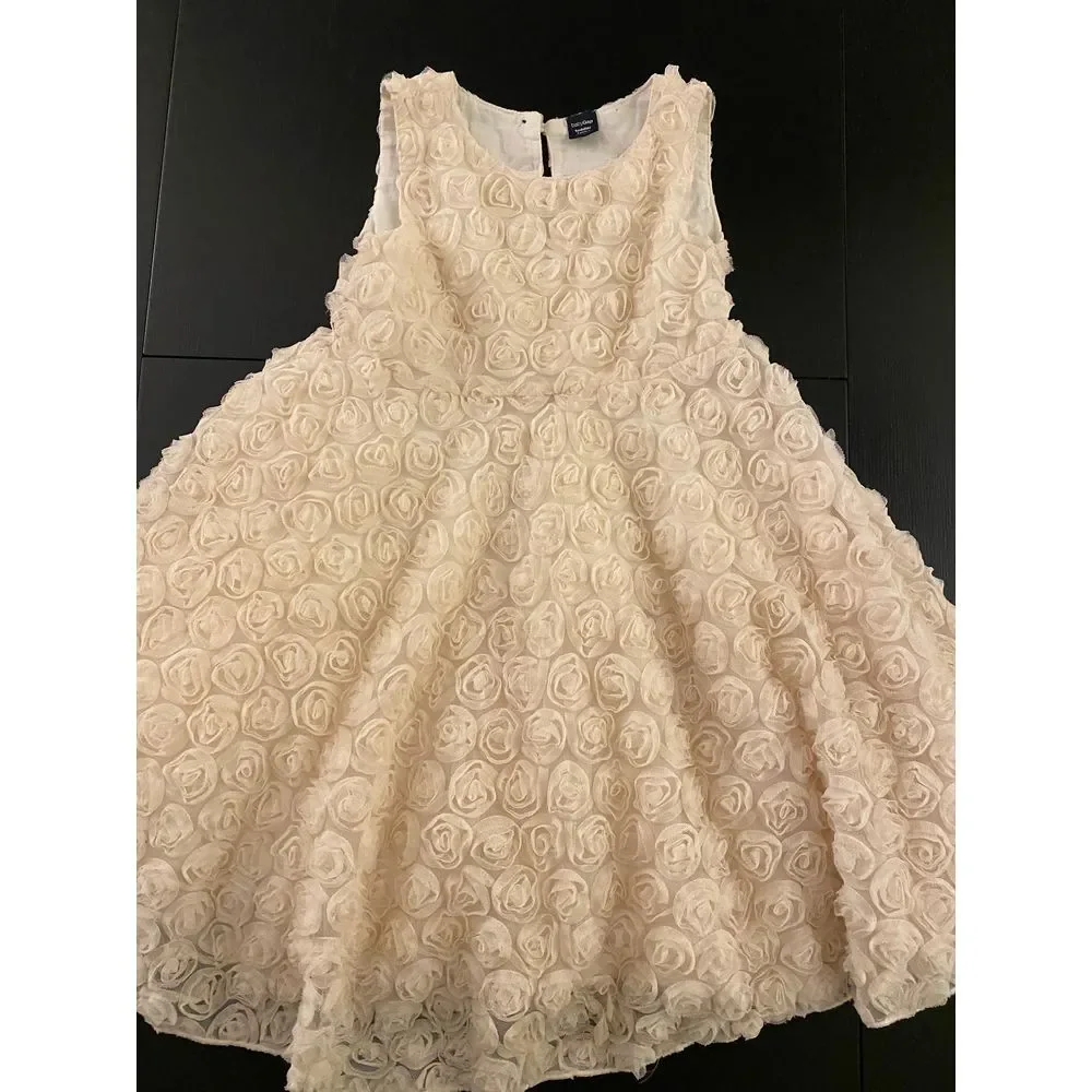 Gap Rosette Holiday Party Dress Toddler Girls 3T Sleeveless Christmas Santa Pics